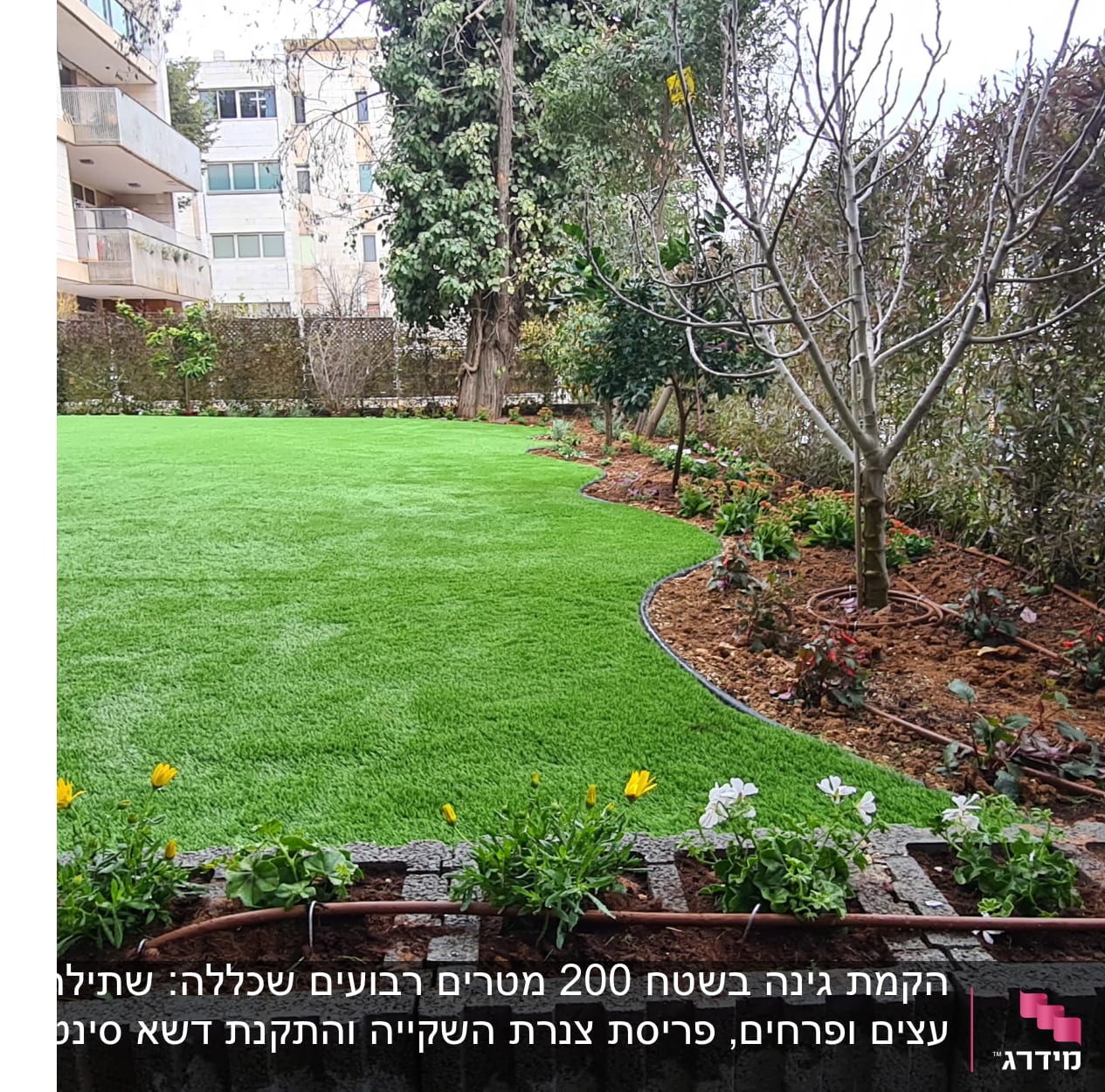 גינה עם דשא סינתטי, עצים ופרחים